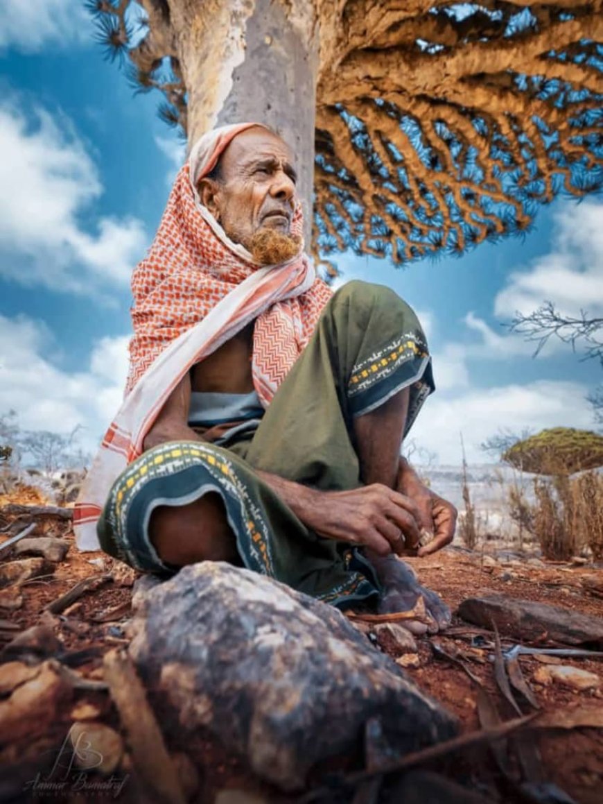 سقطرى.. هوية لا تموت