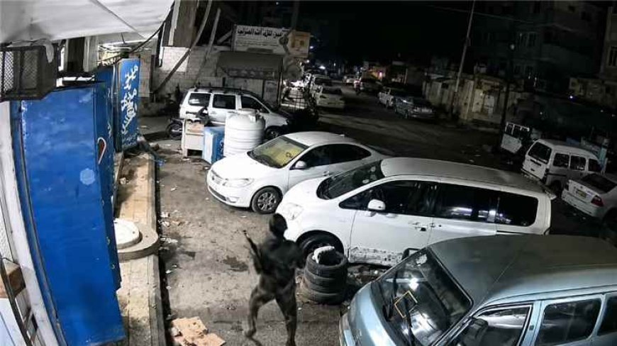 بالفيديو.. توثيق لحظة إطلاق النار على دورية أمنية في عدن