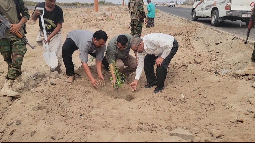 "الداؤودي" يدشن تشجير الطريق العام لمديرية البريقة