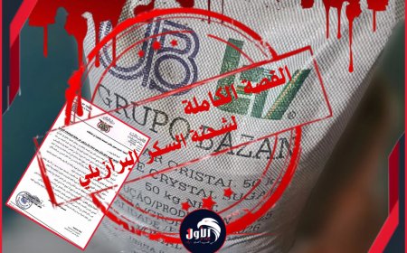 القصة الكاملة لشحنة السكر البرازيلي.. اتهامات خطيرة ومتبادلة بين (مكتب الصناعة) و(الشركة الموردة)!