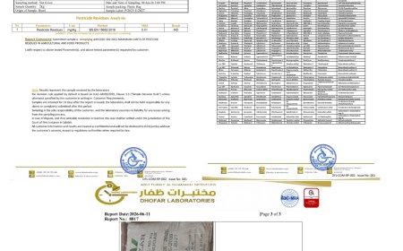 نتائج فحوصات مستقلة في سلطنة عُمان تنسف مزاعم احتواء سكر UB البرازيلي على عناصر سامة