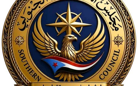 "إرث راسخ.. ومستقبل واعد وهُوية".. مجلس المستقبل الجنوبي يطلق فيلمه التأسيسي برؤية توثق المسيرة وترسم ملامح الغد
