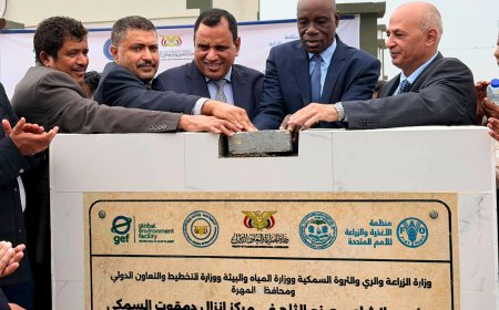 السقطري والشرجبي يفتتحان مركزي الإنزال السمكي بحوف ودمقوت ويضعان حجر الأساس لمصنع ثلج بدمقوت