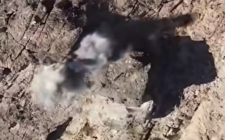 شاهد مقطع مصور يوثق عملية خاطفة ل​للفرقة الثانية طوارئ في صعدة