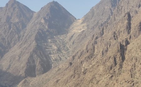 عاجل.. درع الوطن يُحبطون عملية تسلل حوثية في جبهة الحلحل بأبين
