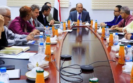نائب وزير الصناعة يناقش تعزيز القيمة الغذائية للدقيق والتوسع في إنشاء الصوامع والمستودعات