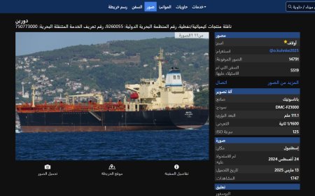 مدرجة ضمن عقوبات الخزانة الأمريكية.. تفاصيل جديدة عن الناقلة (دورين) الراسية في ميناء عدن