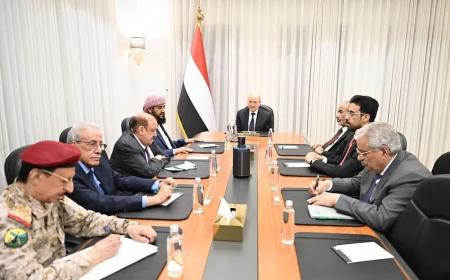 قرار رئاسي جديد.. مجلس الدفاع الوطني يُقر لجنة وزارية لتوحيد تسميات قوات الحكومة الشرعية 