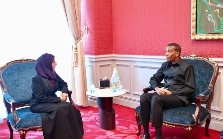 وزيرة الخارجية تبحث مع رئيس الوزراء ووزير الخارجية الصوماليين تعزيز العلاقات والتنسيق بشأن أمن البحر الأحمر وخليج عدن