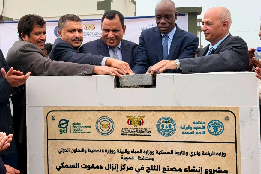 السقطري والشرجبي يفتتحان مركزي الإنزال السمكي بحوف ودمقوت ويضعان حجر الأساس لمصنع ثلج بدمقوت