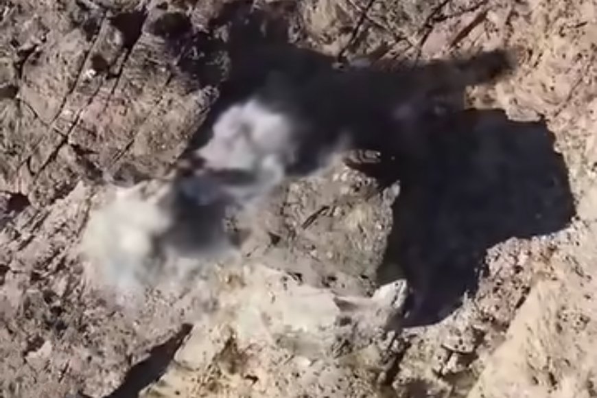 شاهد مقطع مصور يوثق عملية خاطفة ل​للفرقة الثانية طوارئ في صعدة