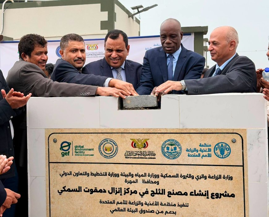 السقطري والشرجبي يفتتحان مركزي الإنزال السمكي بحوف ودمقوت ويضعان حجر الأساس لمصنع ثلج بدمقوت