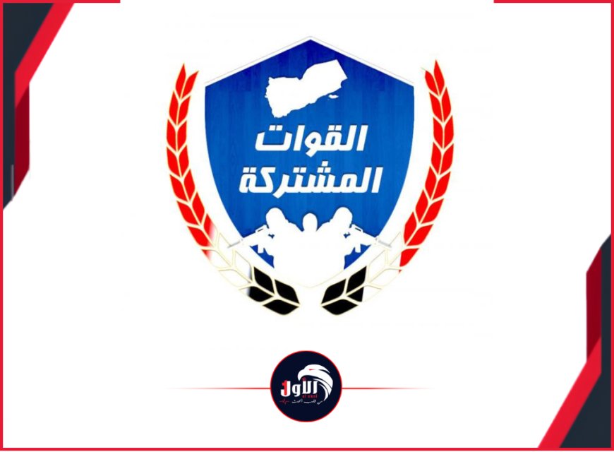 ناطق القوات المشتركة توجه تحذيرا هاما لـ( الإعلاميين)
