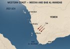 سياسي سعودي يعلق على حرب الساحل الغربي: السباق نحو باب المندب!