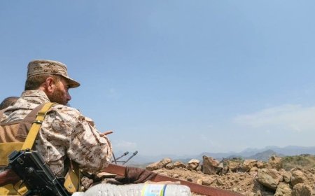 أسماء قيادات الشرعية التي تتصدر المشهد في جبهات تعز والساحل الغربي
