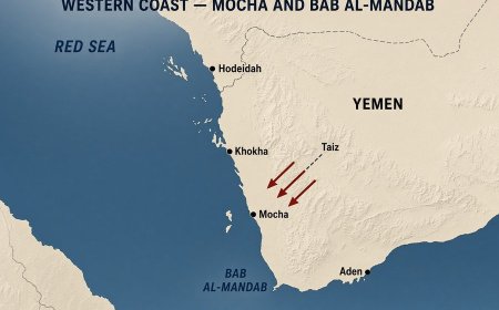 سياسي سعودي يعلق على حرب الساحل الغربي: السباق نحو باب المندب!