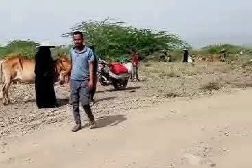 مقبنة تحت وطأة التصعيد.. عشرات الأسر تهرب من قراها مع اشتداد المواجهات غربي تعز