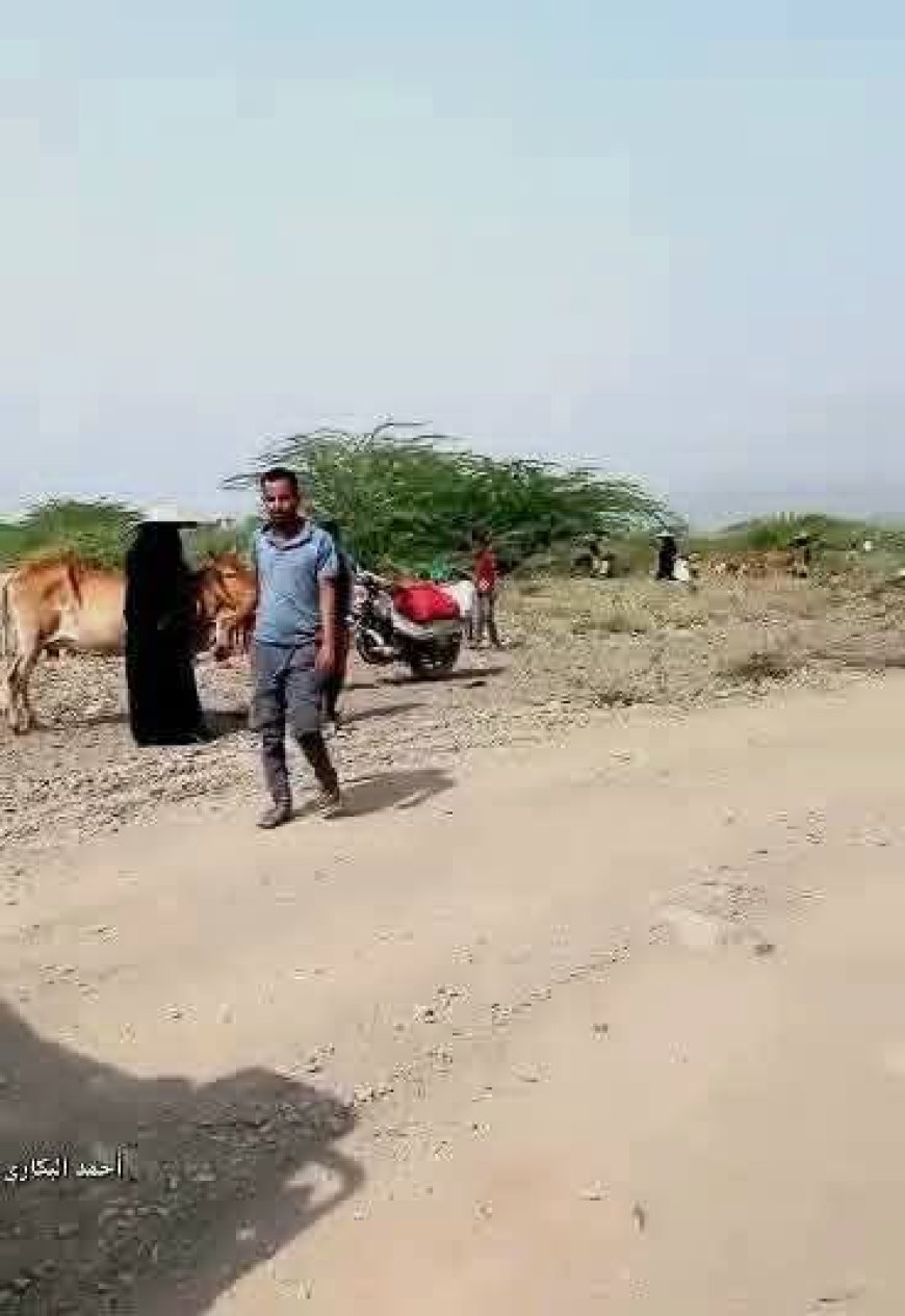 مقبنة تحت وطأة التصعيد.. عشرات الأسر تهرب من قراها مع اشتداد المواجهات غربي تعز