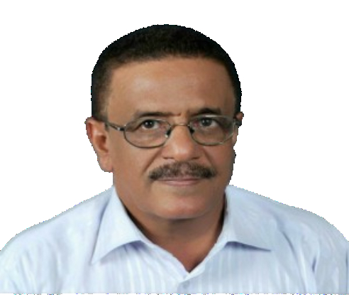 أحمد سالم فضل