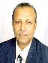 حكاية الرئاسي وكل دجاجة على مرعاض